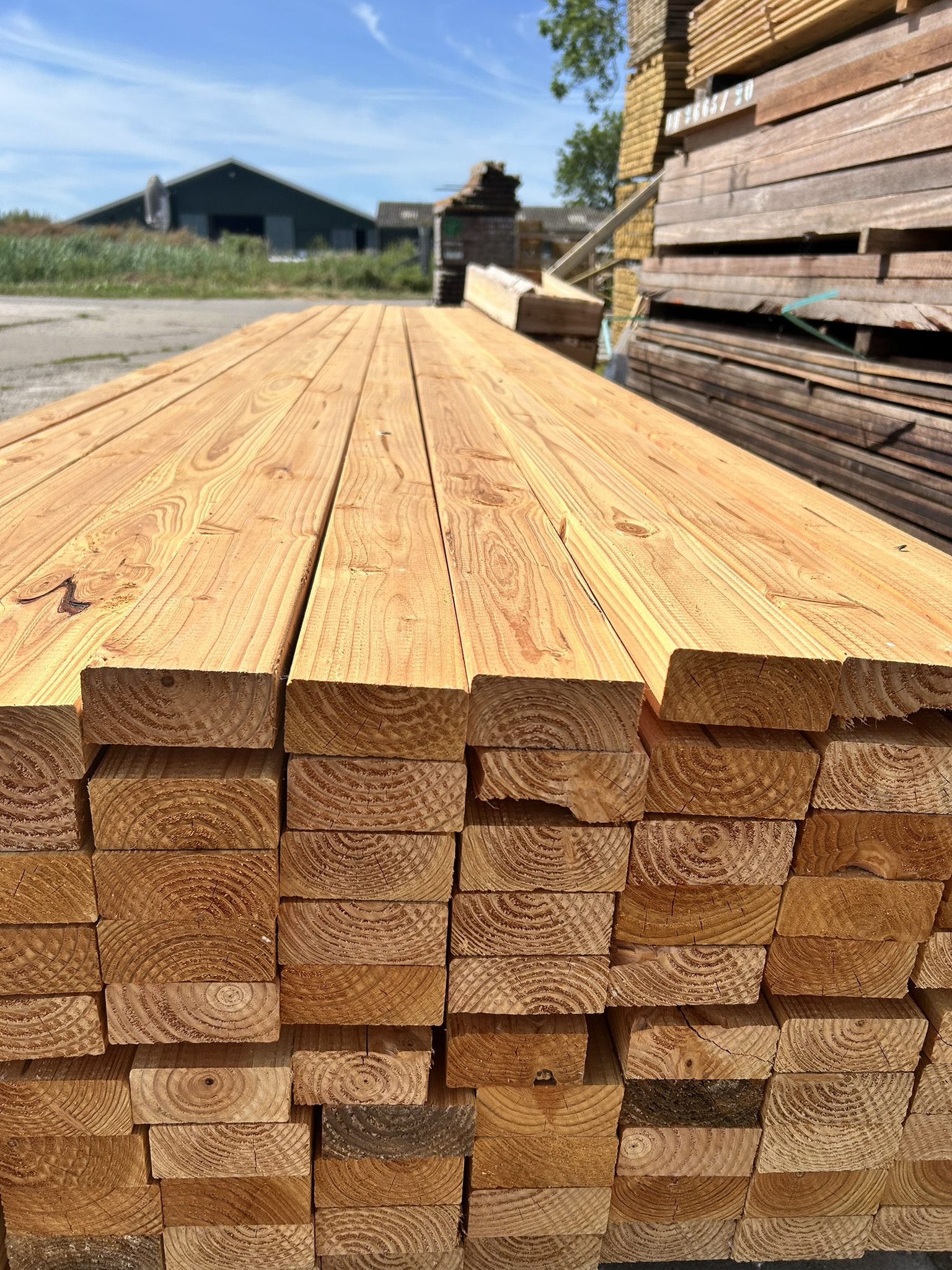 Hardhoutplank die wordt schoongemaakt met borstel